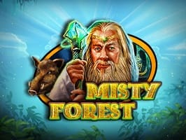 Misty Forest
